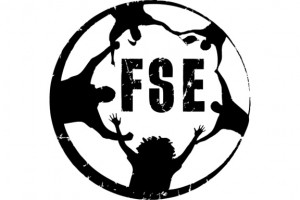 Football Supporters Europe (FSE)